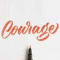 Courage Essay