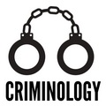 Criminology Essay