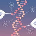 Crispr Essay