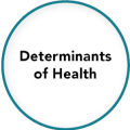 Determinants Of Health Essay