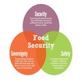 Food Security Essay