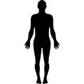 Human Essay