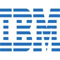 IBM Essay