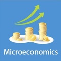 Microeconomics Essay
