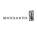 Monsanto Essay