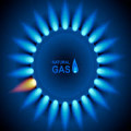 Natural Gas Essay