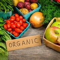 Organic Food Essay