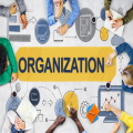 Organization Essay