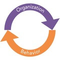 Organizational Behavior Essay