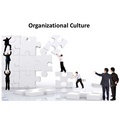 Organizational Culture Essay