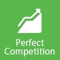 Perfect Competition Essay