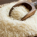 Rice Essay