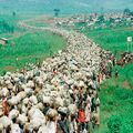 Rwandan Genocide Essay