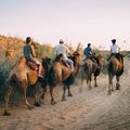 Silk Road Essay