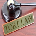 Tort Law Essay