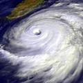 Tropical Cyclone Essay